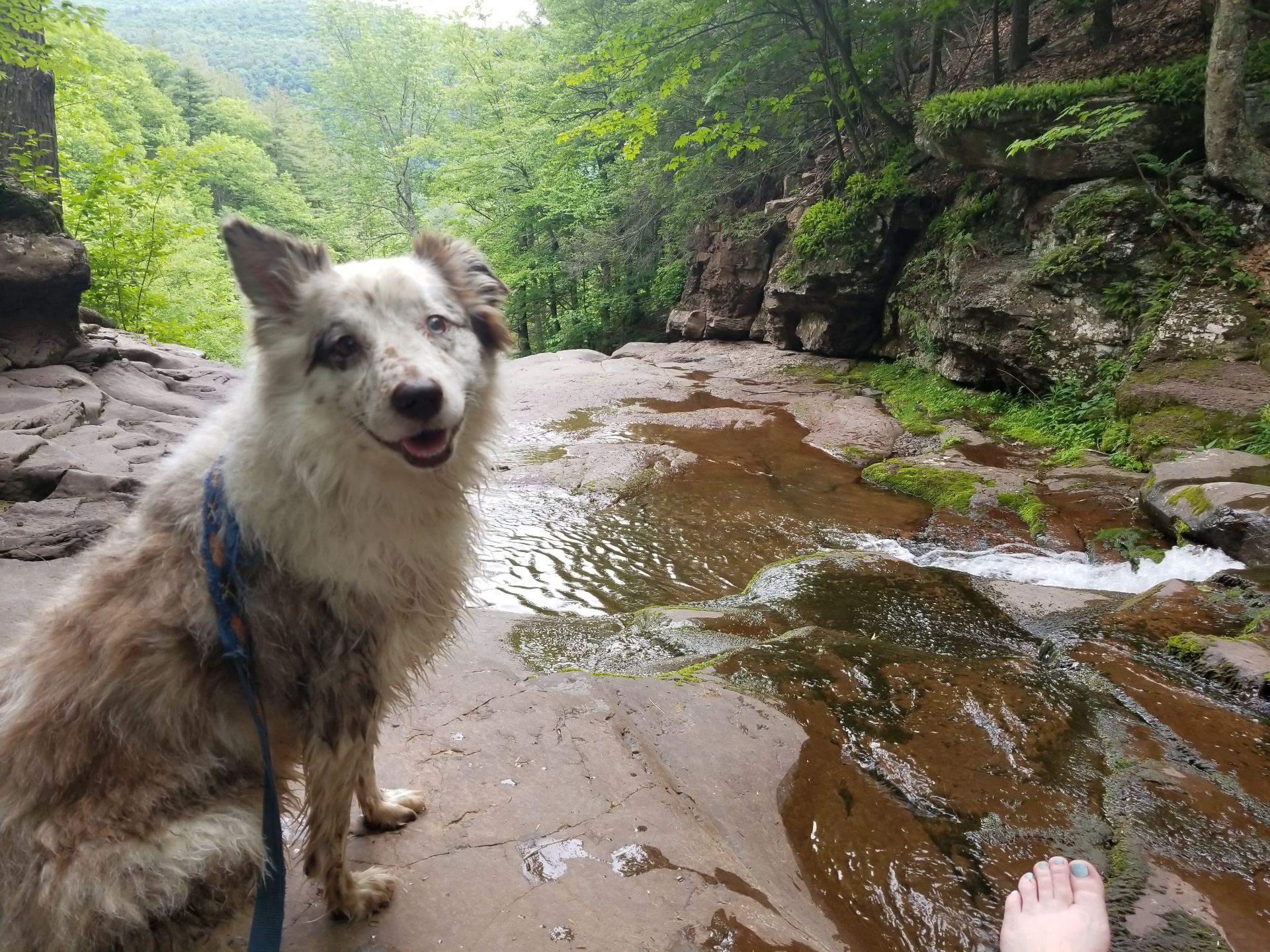 Hossen, standing at the top of a waterfall